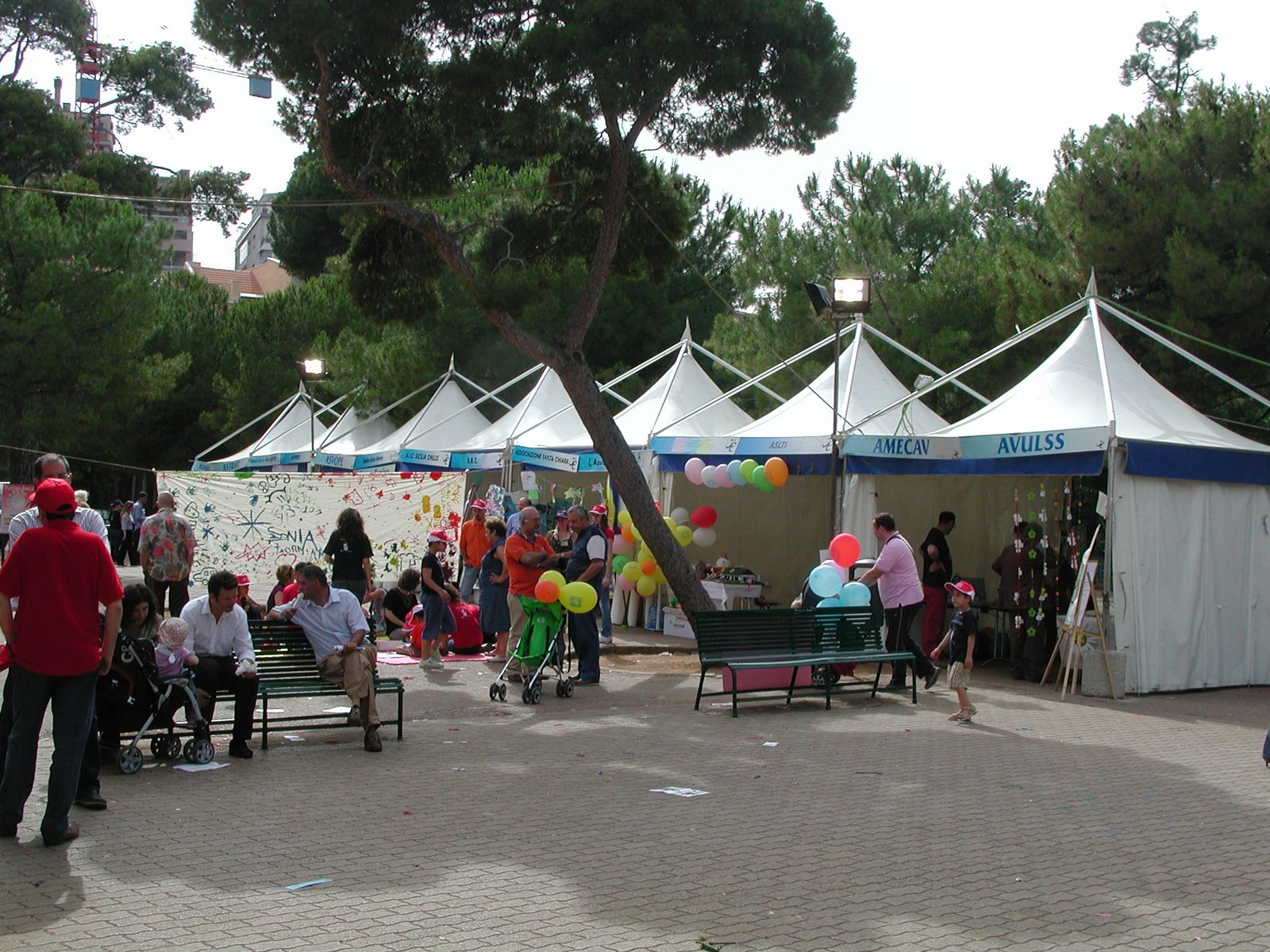 [DSCN9719.JPG]