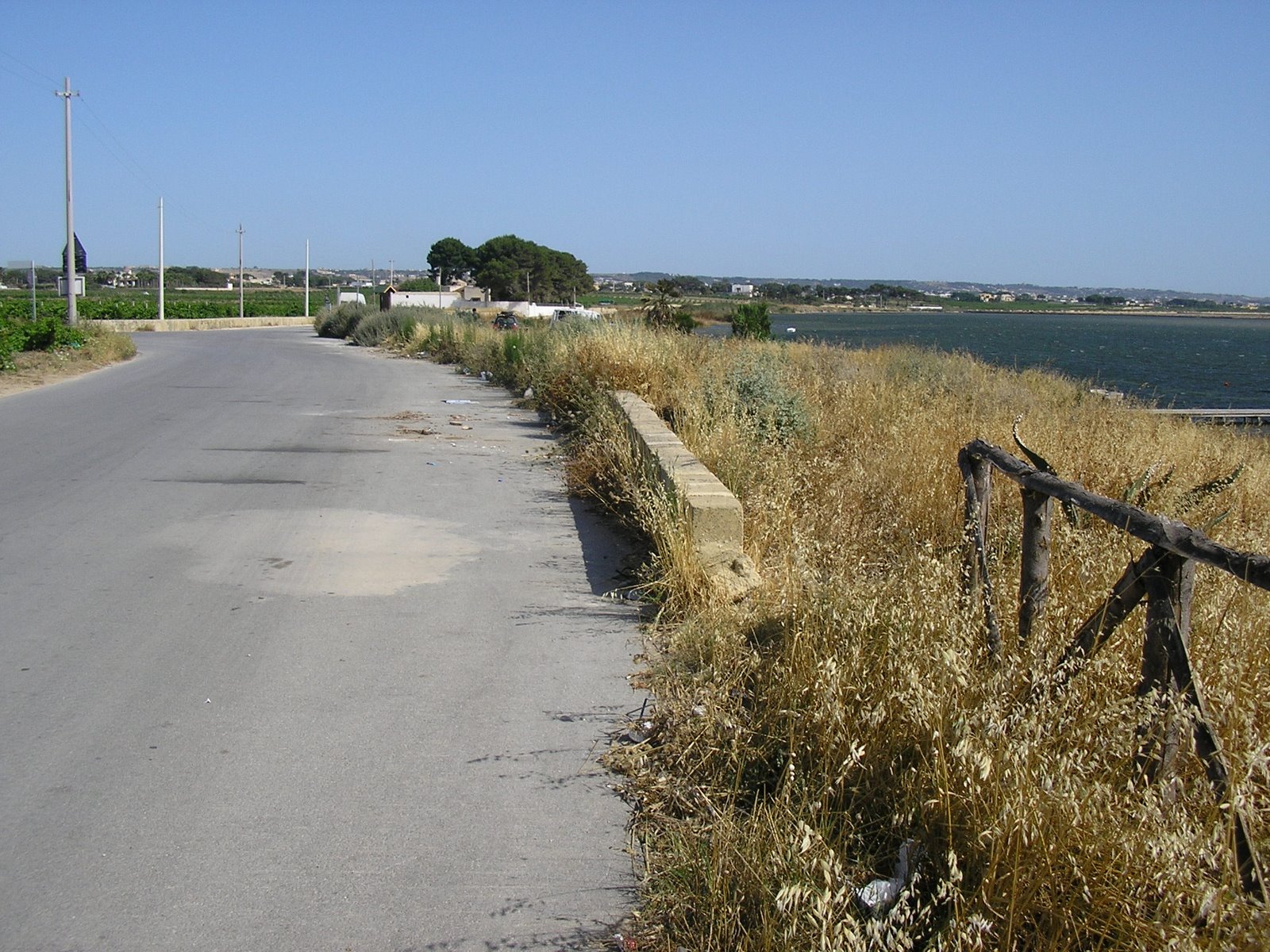 [P1010037.JPG]