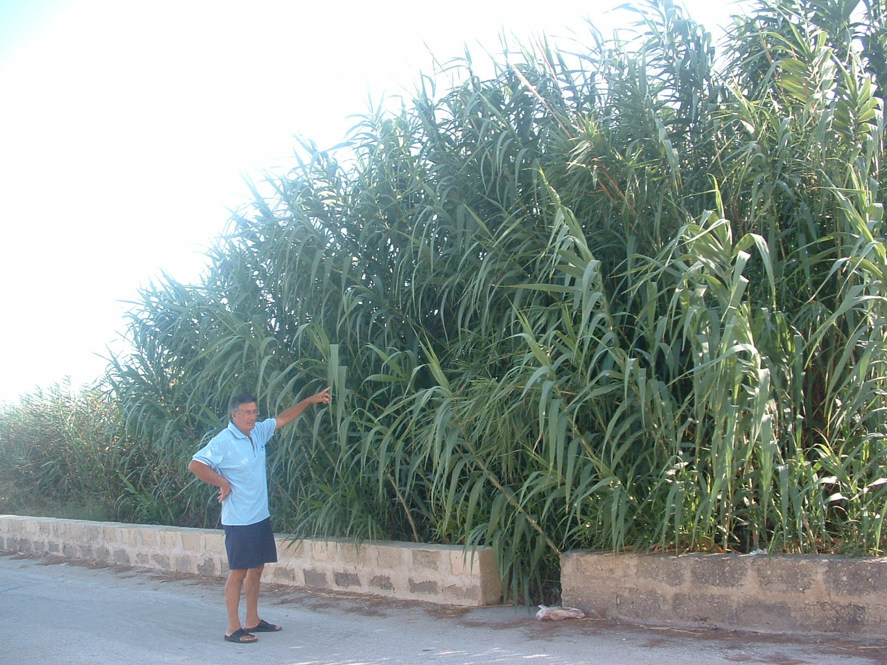 [DSCF0014.JPG]