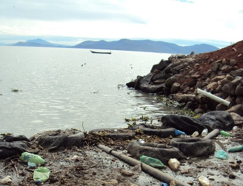 historia negra de Jiquilpan Persiste contaminación en el lago de Chapala.