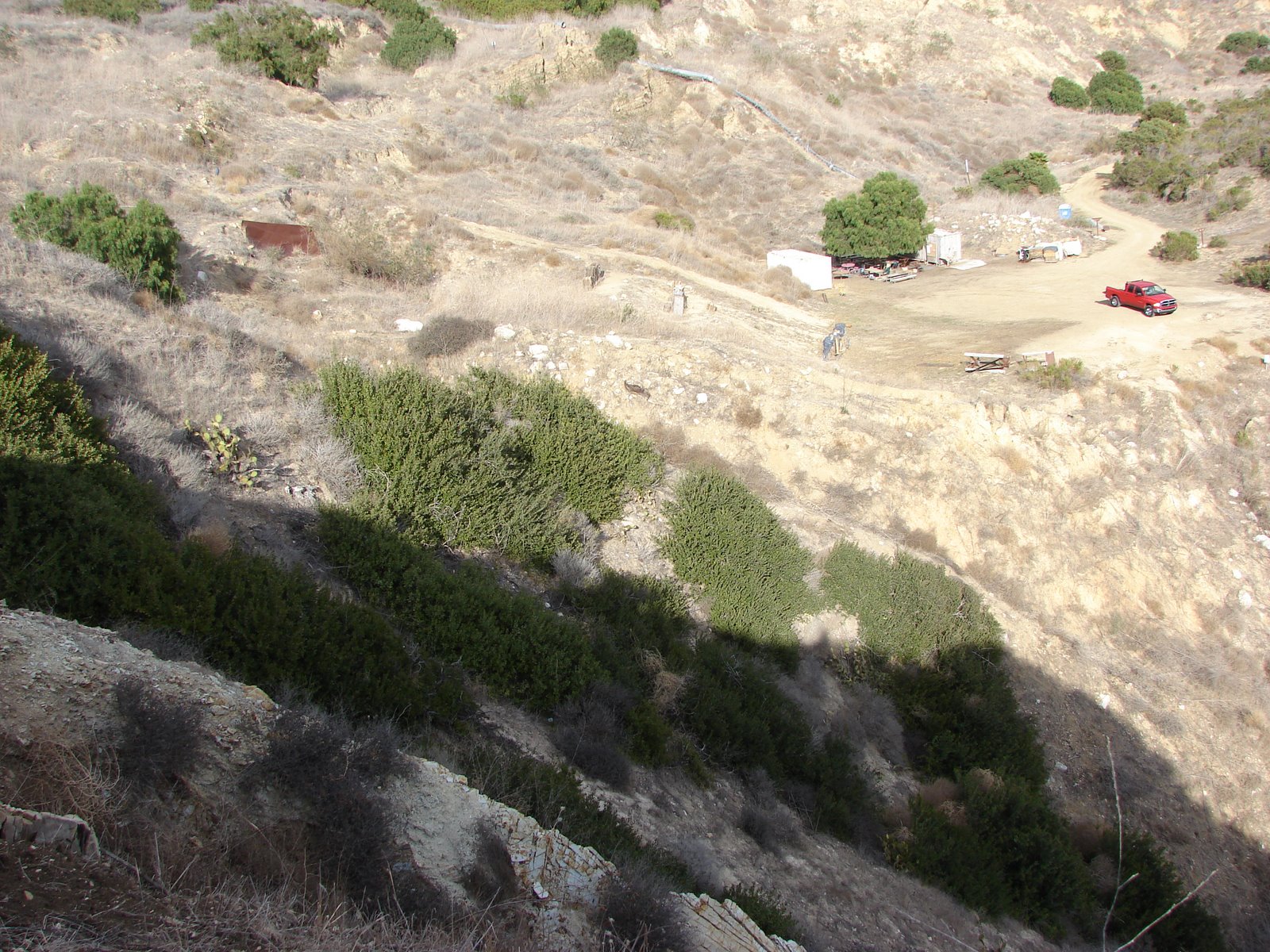 [DSC00910.JPG]