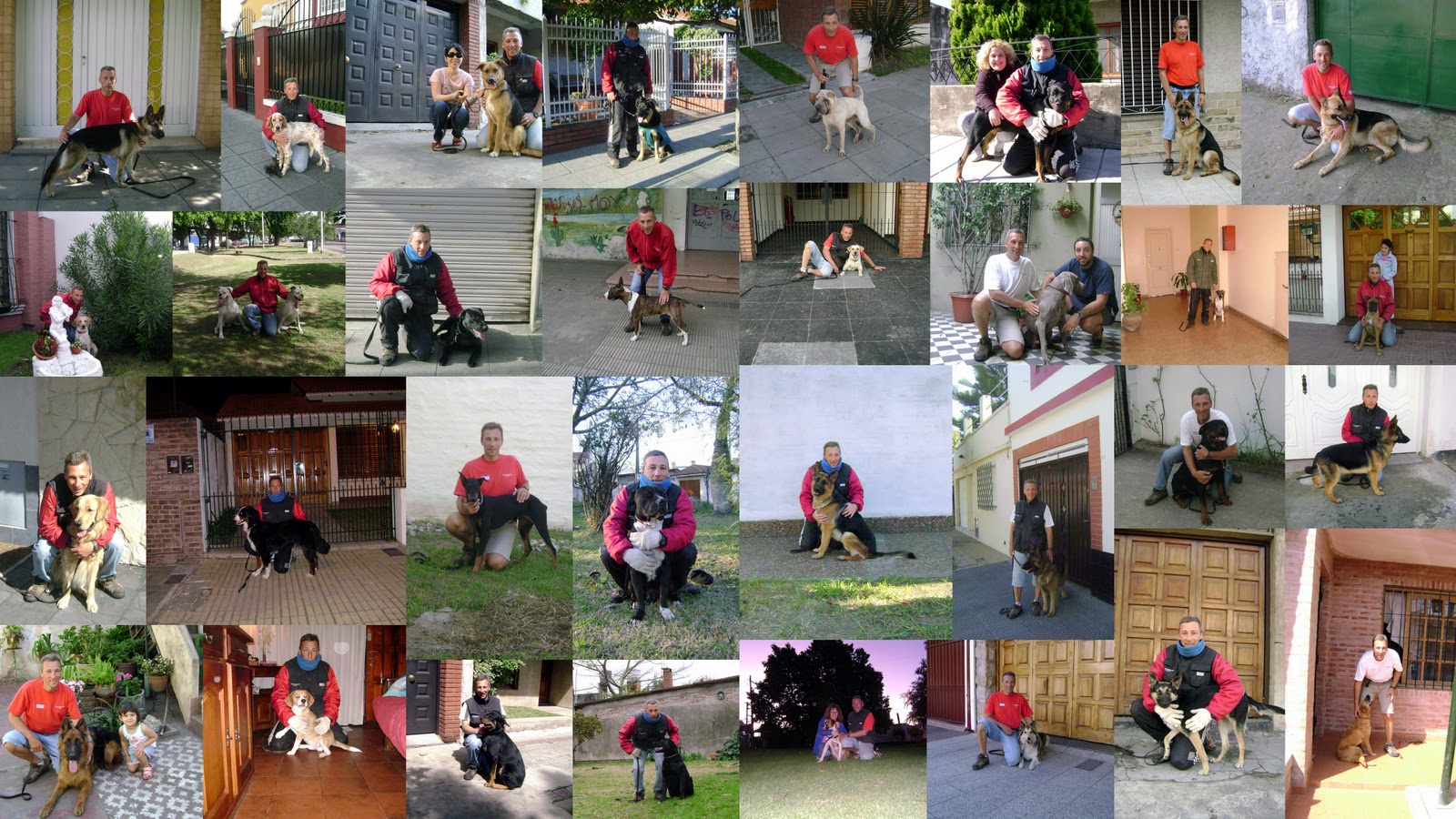 EGC Adiestramiento Canino: Collage de Imágenes