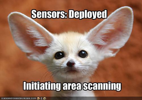 [funny-pictures-creature-deploys-its-sensors.jpg]