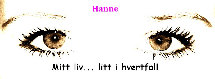 hannevr.blogspot.com