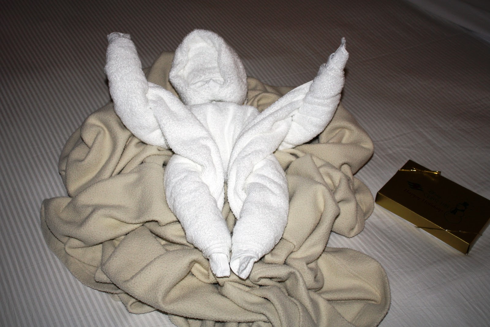 Towel Folding Designs