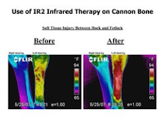 Infrared Image of Cannon Bone