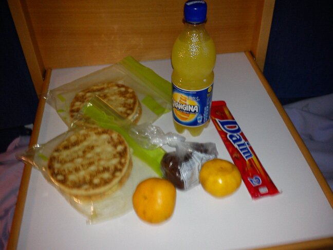 dejta 4 månader feber