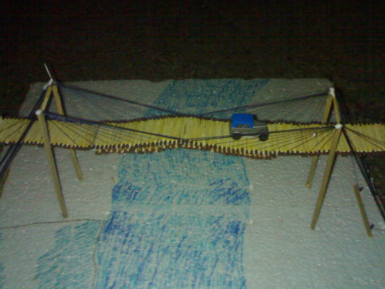 homemade suspension bridge 8