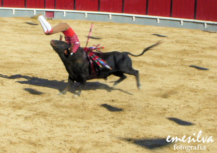 [vila+franca++2oo8+096.JPG]