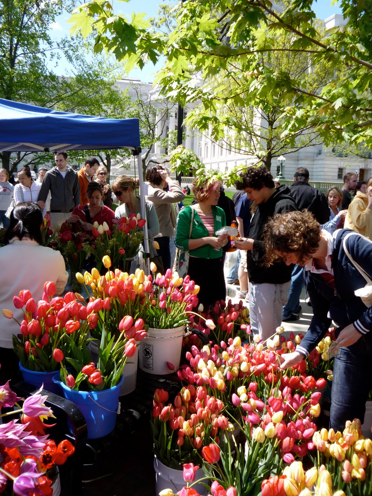 Alan J. Shannon Want the Largest Farmer's Market in America? Head to