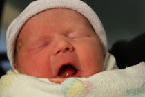 Baby Stella