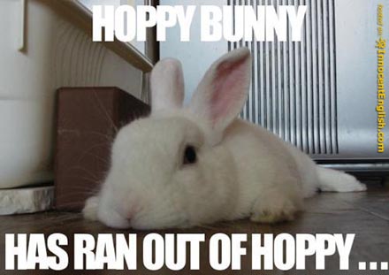 [funny-tired-bunny.jpg]