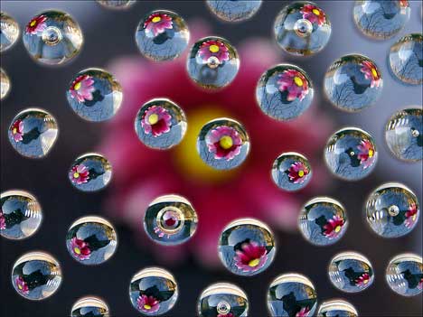 [Bizarre+Art+of+Bubbles+in+Photography+and+Nature19.jpg]