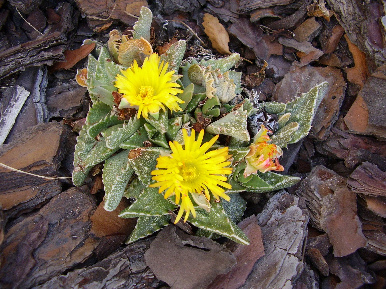 [PA110378.JPG]