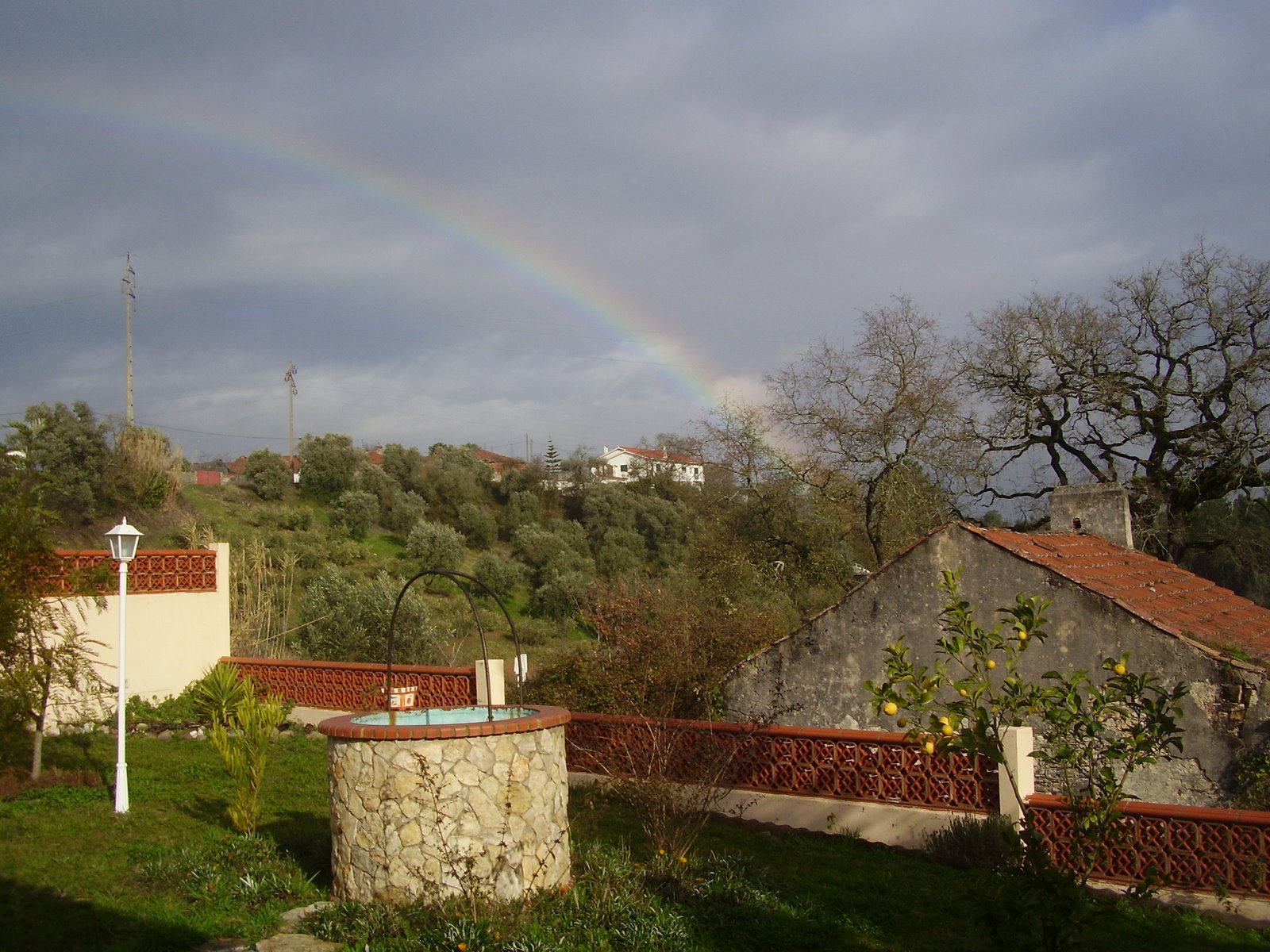 [PC310687.JPG]