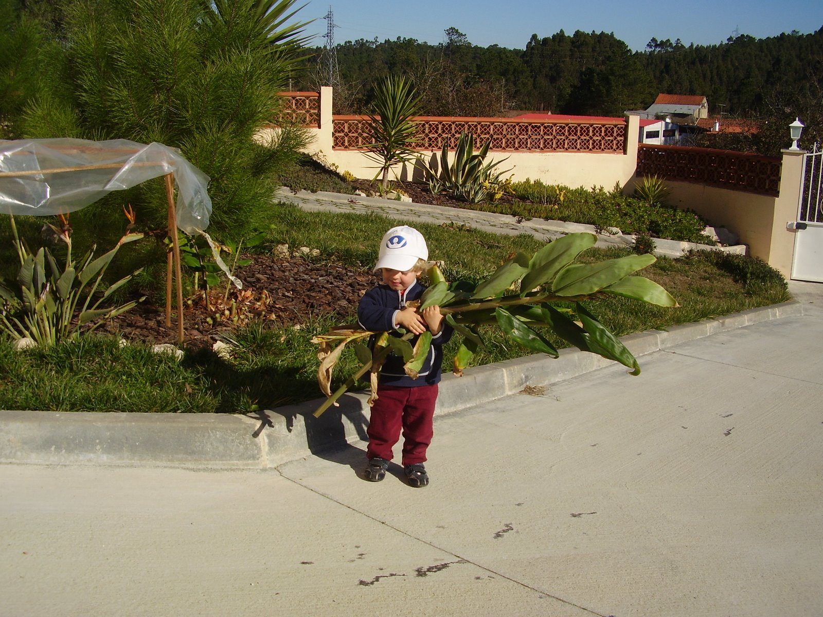 [PC200608.JPG]