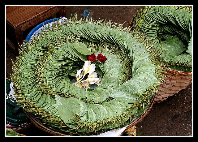 Leaf Pan