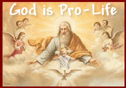 Please Pray for the Unborn