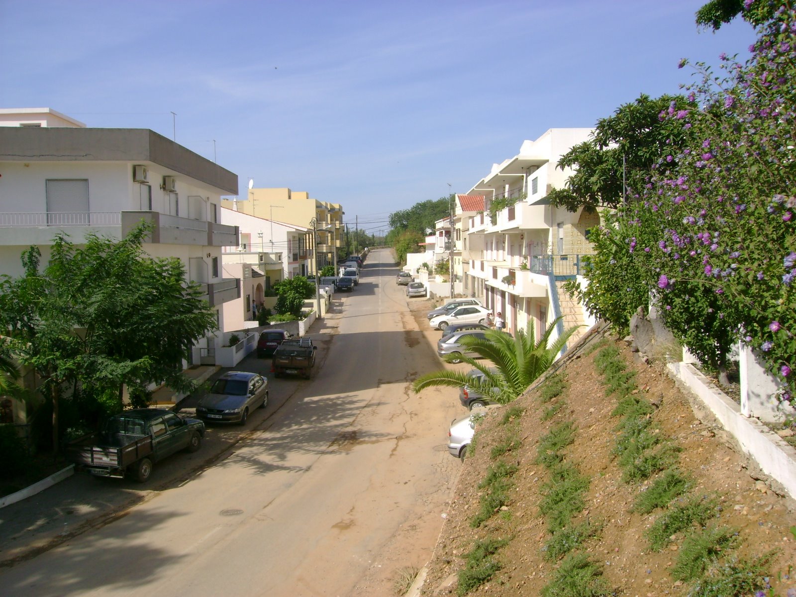 [DSC05525.JPG]