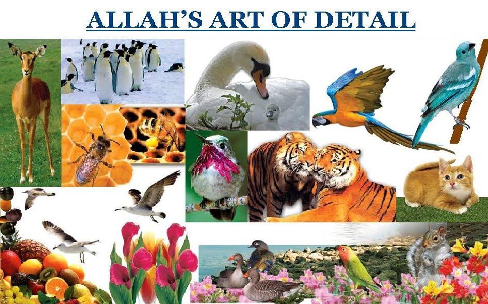 ALLAH’S ART OF DETAIL