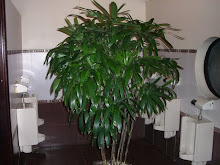 Toilet tree