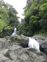 Kaitake Falls