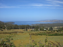 Tasman National Park