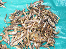 Pescaditos de río secos