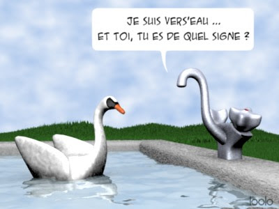 cygne_robinet.jpg