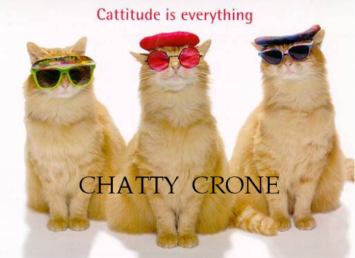 CHATTY CRONE