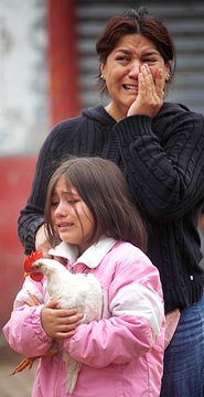 [TheresAFuckingChickenInYourHandMoron.jpg]