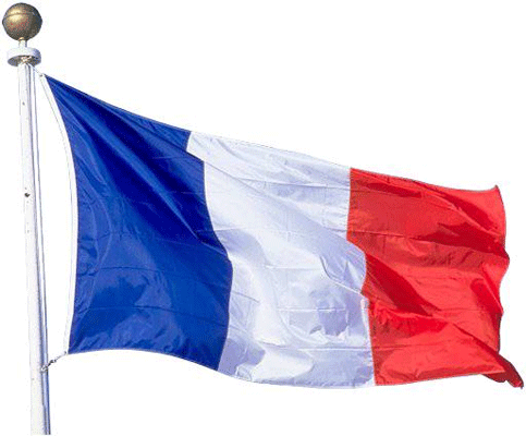 [FrenchFlag.gif]