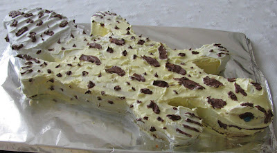 Gecko Cake