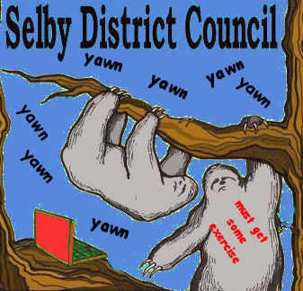 Selby+district