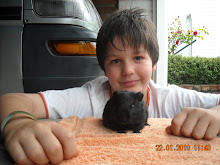 My Photo