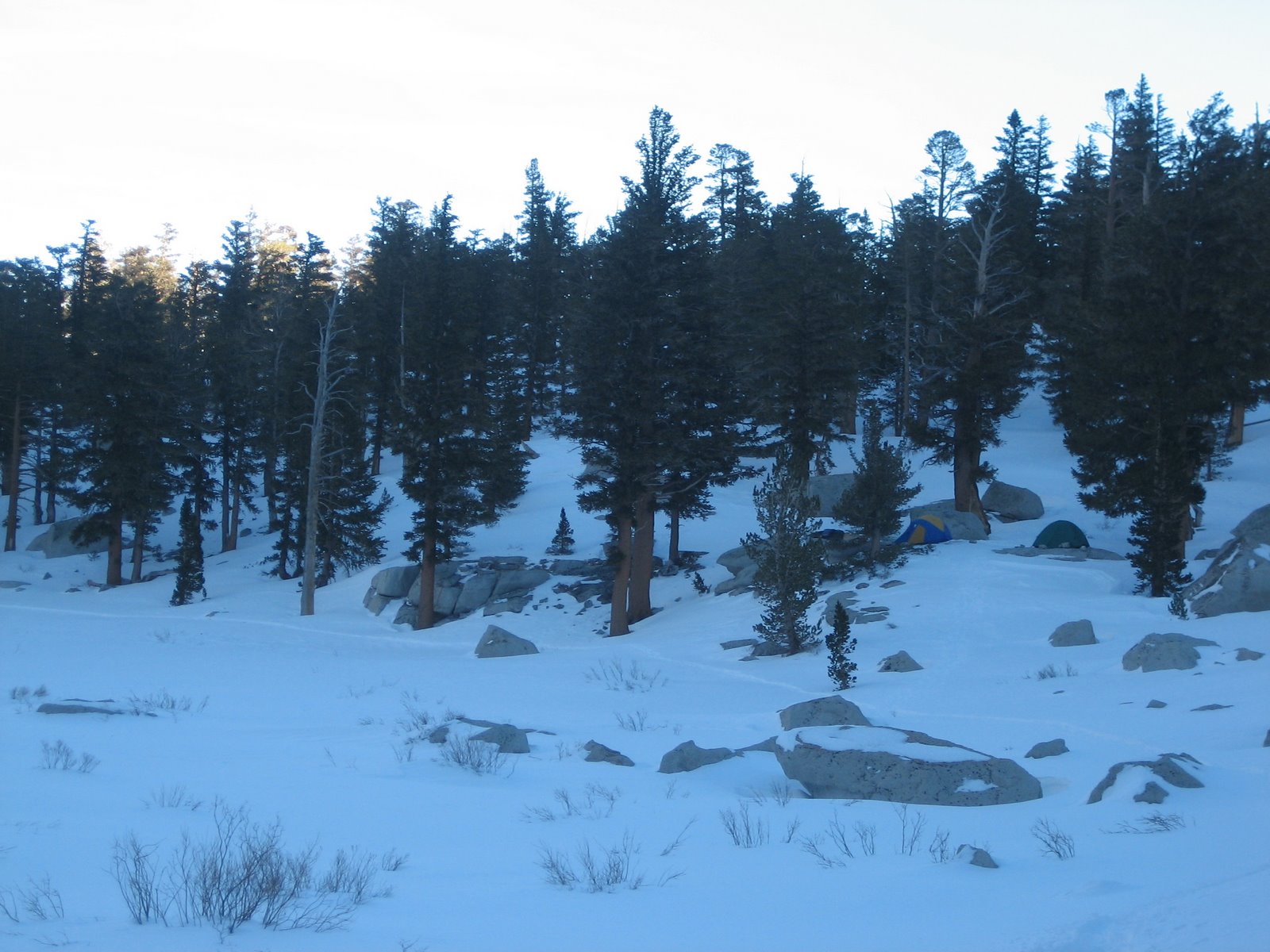 [camp+site]