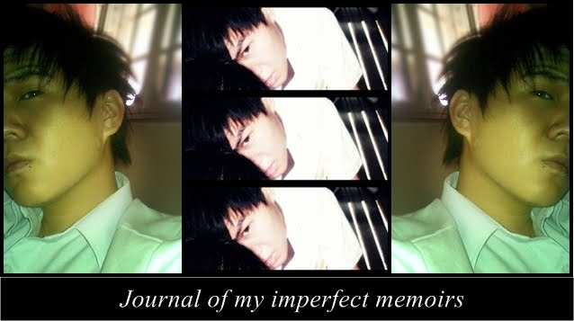 Journal of my imperfect memoirs
