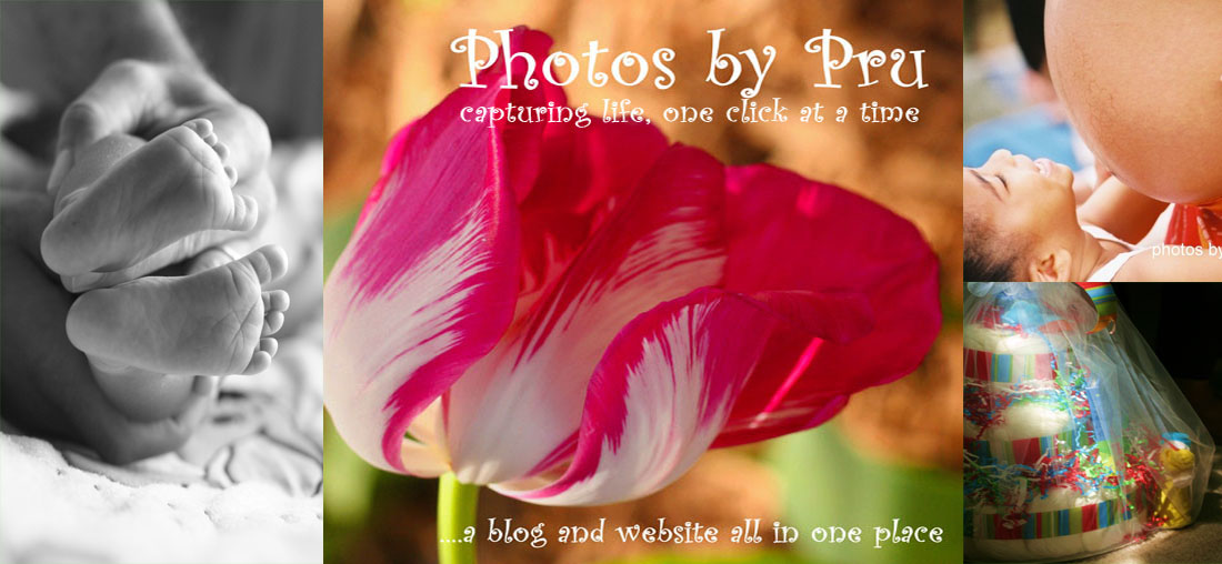 Photos by Pru -- Capturing Life, One Click at a Time