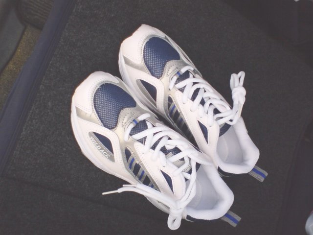 [jog_shoes.JPG]