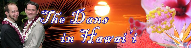 Dan & Dan's Hawaiian Adventures