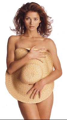 Crossing Jordan DVD | TV Series | TV Show | Dvd Movie | Sexy Celebrity | sexy Babes |