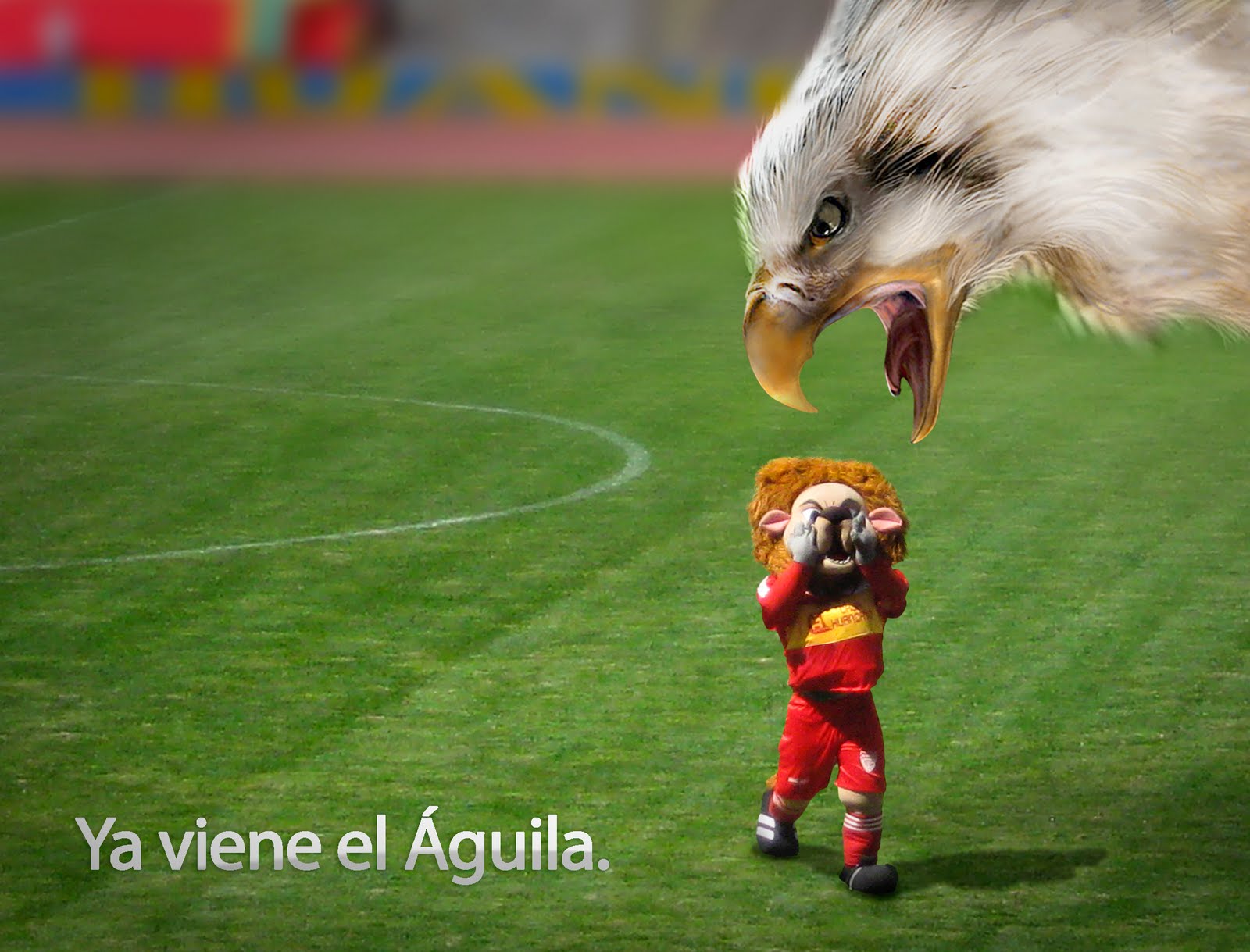 [SPORT+AGUILA.jpg]