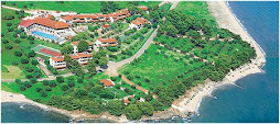 Hotel Blue Dolphin