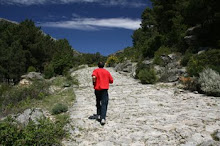 CENTRO DE TURISMO RURAL ABEJARUCO( entrenamientos en altura)