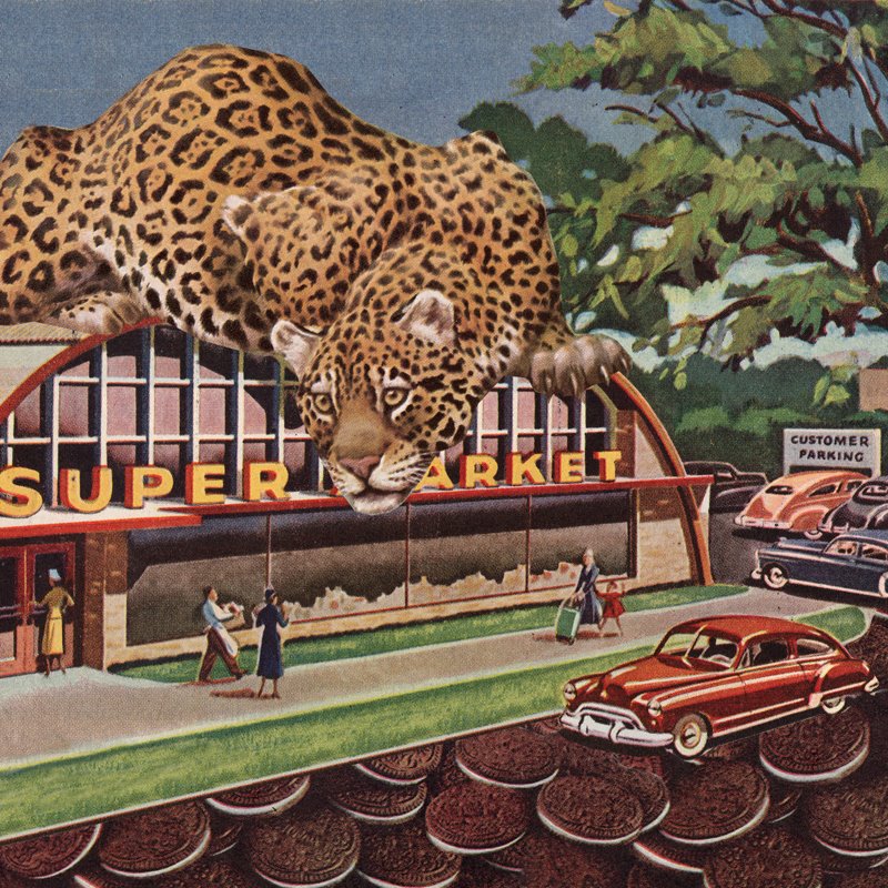 [foodshoppingWEB.jpg]