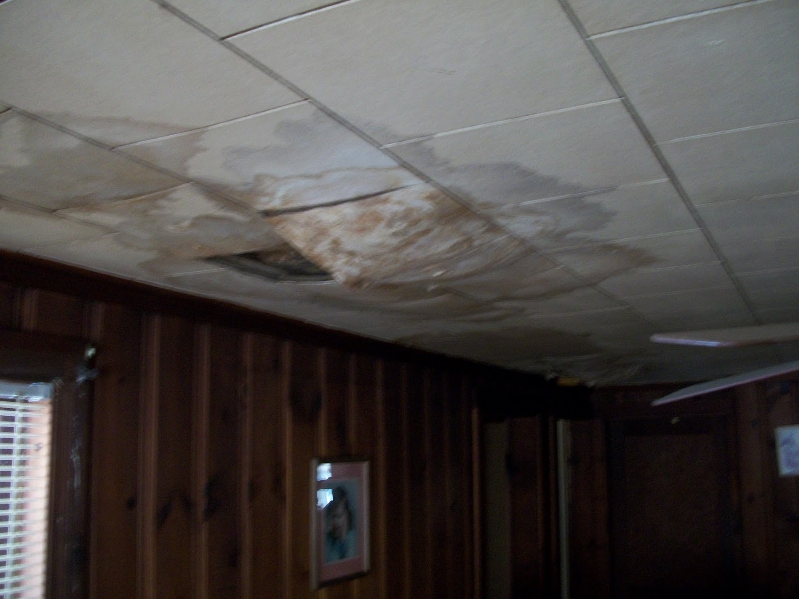 Hour Weatherization Ten Things You Should Know About Mold