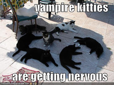 funny-pictures-vampire-cats-shade-sunlight.jpg
