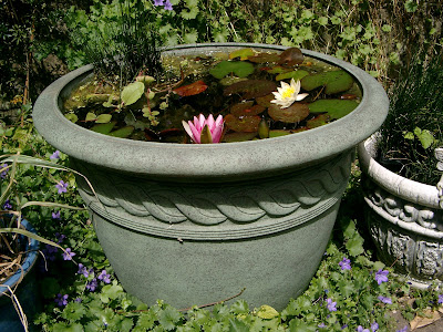 Tub Pond