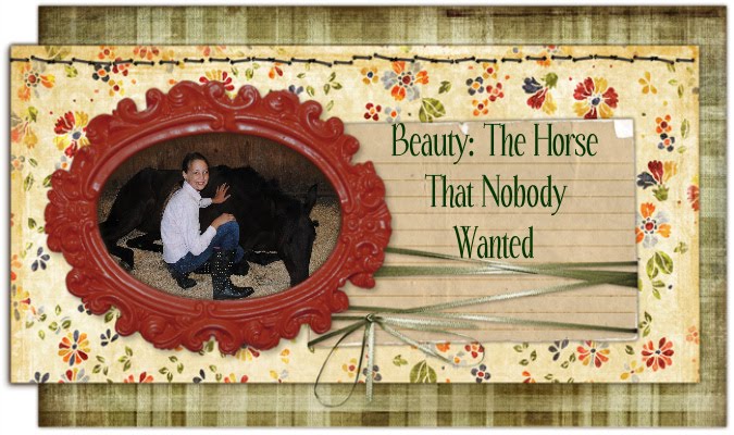 Beauty: The Horse That Nobody Wanted