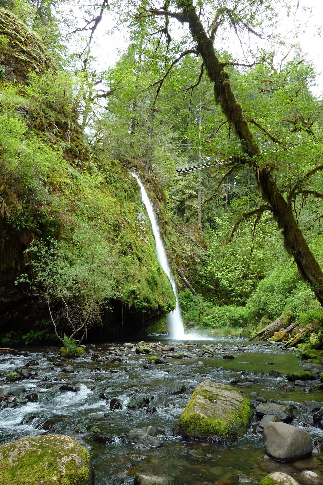 Drift Creek Falls, Lincoln City, Oregon (Before Rock Slide) Oregon